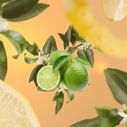 ������ ��� ��������� Aromas Lemon Flower 200�� 6247