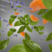 ������ ��� �������� Aromas Anti-Kitchen Fresh & Floral 200�� 6270