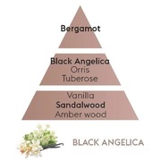 �������� ��� ���������� � �������� Car Diffusers Black Angelika 7697