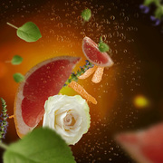 ������� ��� ��������� � �������� Car Diffusers Exquisite Sparkle 7798