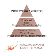 ������� ��� ��������� � �������� Car Diffusers Exquisite Sparkle 7798