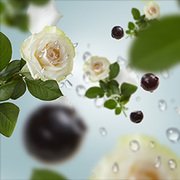 ��������� ��� �������������� ��������� Car Diffusers Ocean Breeze 6415