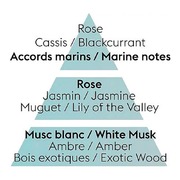 ��������� ��� �������������� ��������� Car Diffusers Ocean Breeze 6415