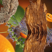 �������� ��� ������������� �������� Car Diffusers Anti-Tabacco 6418