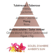 �������� ��� ������������� �������� Car Diffusers Amber's Sun 6950