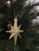 ���� ��������� ������� ǳ��� ��������� 9�� 5901292631147_2