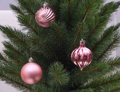 ���� ��������� ������� 6�� 5900779832763_2