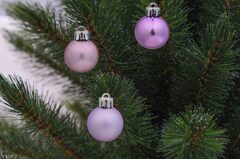 ����� ������� ������� 3�� 5900779832121_2