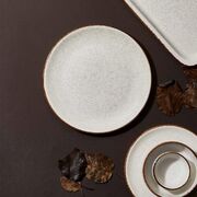 ������� ��������� Effect Dust 25�� EF-DS-ZT-25-DZ