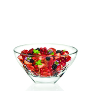 �������� Fusion 245 ��