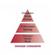 ������ ��� ��������� Aromas for the home Orange Cinnamon 500�� 115018
