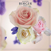 ������ ��� ��������� Aromas for the home Paris Chic 500�� 115065