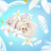 ������ ��� �������� Aromas for the home White Musk 500�� 115091