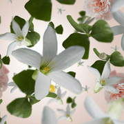 ������ ��� ��������� Aromas for the home Precious Jasmine 500�� 115286