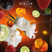 ������ ��� �������� Aromas for the home Orient Star 500�� 115313