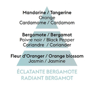 ������ ��� ��������� Aromas for the home Radiant Bergamot 500�� 115341
