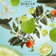 ������ ��� ��������� Aromas for the home Radiant Bergamot 500�� 115341