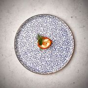 ������ ������� Tinta Edera 21�� TN-EA-ZT-21-DZ