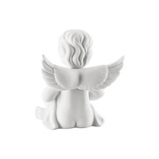 ��������� Engel ����� � ������ 6,5�� 1030004367