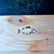 ����� ��� ���� 20�30�1�� 8909