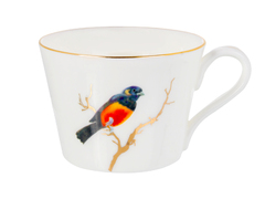 ����� ��� ���� � ������� ������� ������ 100�� 264-726