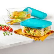 ����� ����������� Frigoverre Classic 390610SK5021990