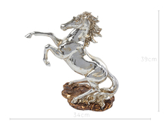 ���������� ʳ�� 34�14,8�39�� 919-392