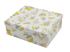 ���� ����� 25,5�� 924-806