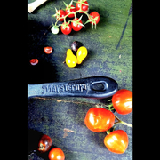 ��������� 20�� �2011