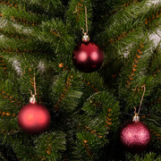 ����� ������� ������� 6�� 8720983287978