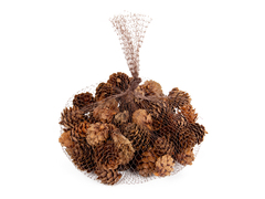 ���� ����� ������������ 100�� 801-579