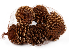 ����� ����� ������������ 801-578