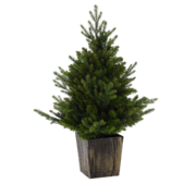 ���� ������������ � LED ���������� 90�� 5900779899087