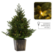 ���� ������������ � LED ���������� 90�� 5900779899087