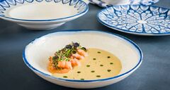 ������� ��������� Esnaf 27�� S-ESNETHGRM27DZ