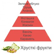 ������ ��� �������� Aromas for the home Fruits Croquants 500�� 115375