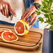 ��� ��������� � ����������-�������� Eversharp 16,5�� K297S244