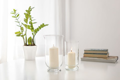 ���� Rose 25�� 35180