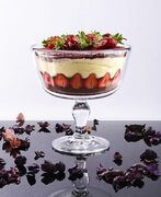 �������� �� ����� 22�� 96954