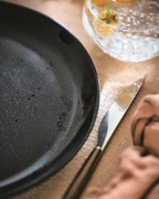 ������� ��������� Diana 19�� V0124