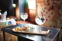 ����� ������� ��� ��������� Vina Gim&Tonic 700�� N2760/1