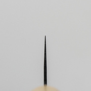 ͳ� ��� Magoroku 21�� 806-169