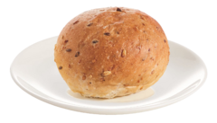 ������ �����-�������� Evolution 16�� V1798