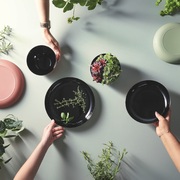 ����� ������������� Vicky Black Terracotta 21�� Q8580