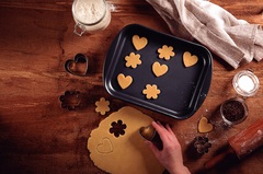 ����� ��� ��������� Brasil ������ 33,3�24,1�3,5�� 20053/028