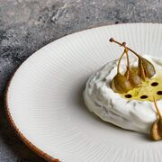 ������� �������� Grace 21�� GRE-ZT-21-DZ