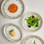 ������ ����� Oliva 27�� OLV-ZT-27-DZ