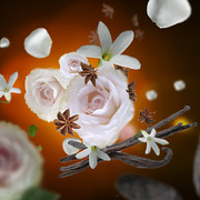 ����� ����� Diffusers Aroma Relax 180�� 7718