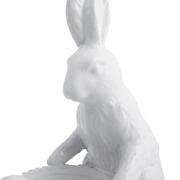 ��������� 23�23,5�10�� 5365