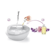 ���������� ������������� Fancy Home Rose 12�11,5�� 906910